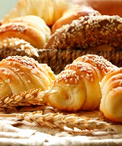 Bakery & Diary