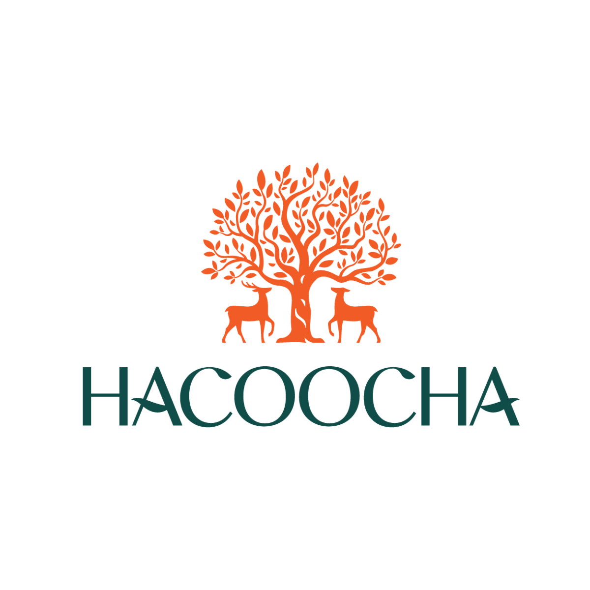 HACOOCHA