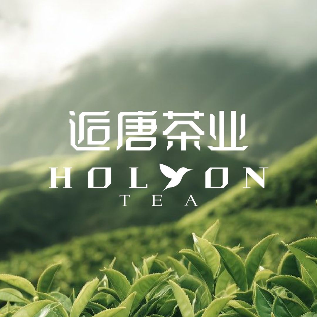 Holyon